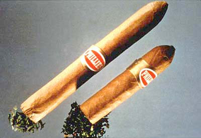 AH HOLE AH HOLE: "BLUNT! BLUNT! BLUNT! BLUNT!"
