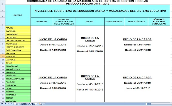 CARGA DE MATRICULA Y ESTADÍSTICA EN EL SISTEMA DE GESTIÓN ESCOLAR 2018-2019 CARGA DE MATRICULA Y ESTADÍSTICA EN EL SISTEMA DE GESTIÓN ESCOLAR 2018-2019