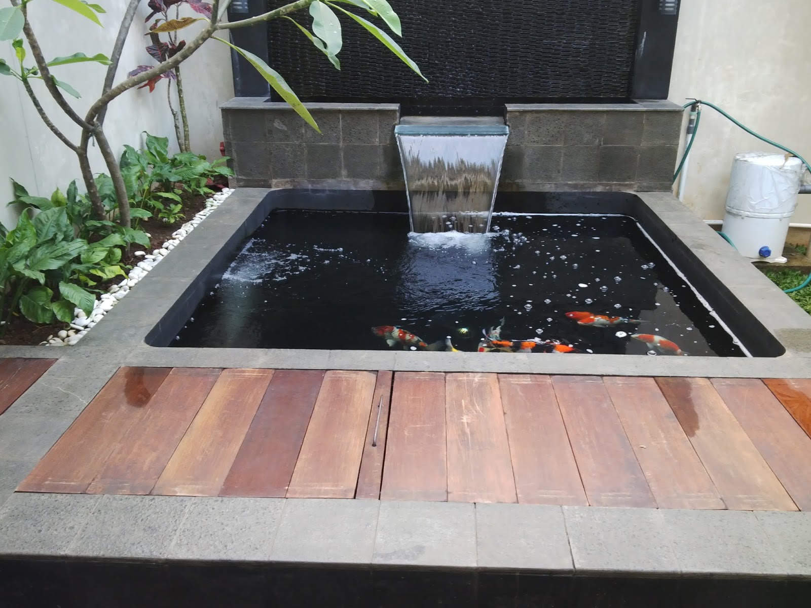 Anoxic Filtration System An update on Yogas’s pond in Indonesia and