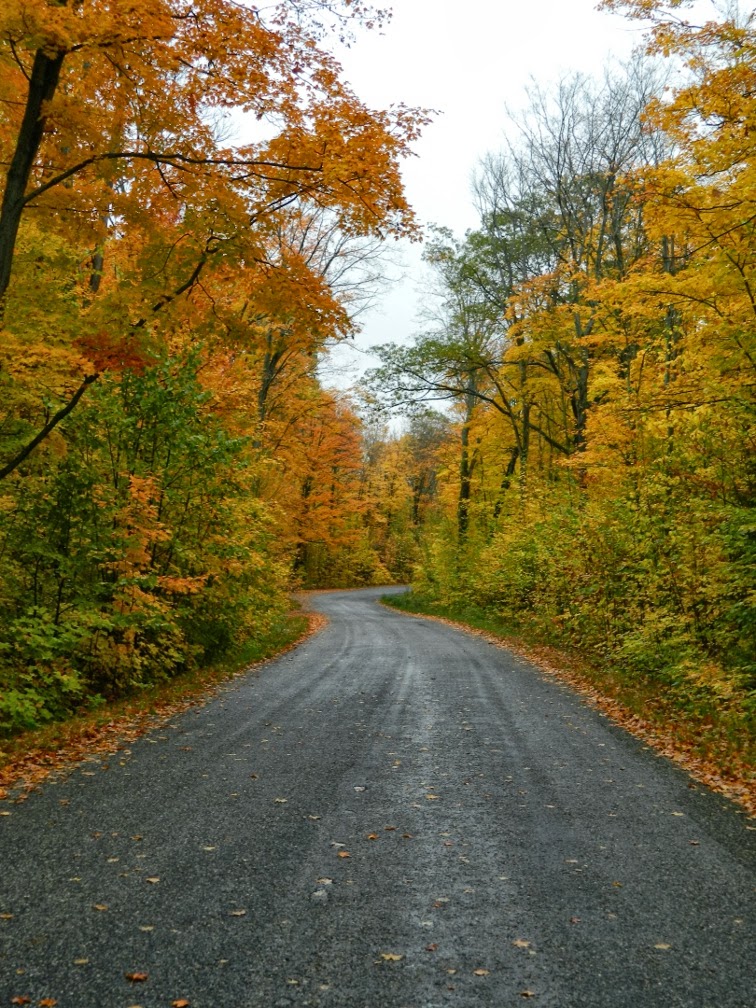 Lake Muskoka fall colours cottage road by garden muses--a Toronto gardening blog Lake Muskoka fall colours cottage road by garden muses--a Toronto gardening blog