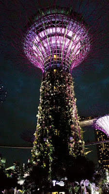 Indochine, Supertree grove, gardens by the bay