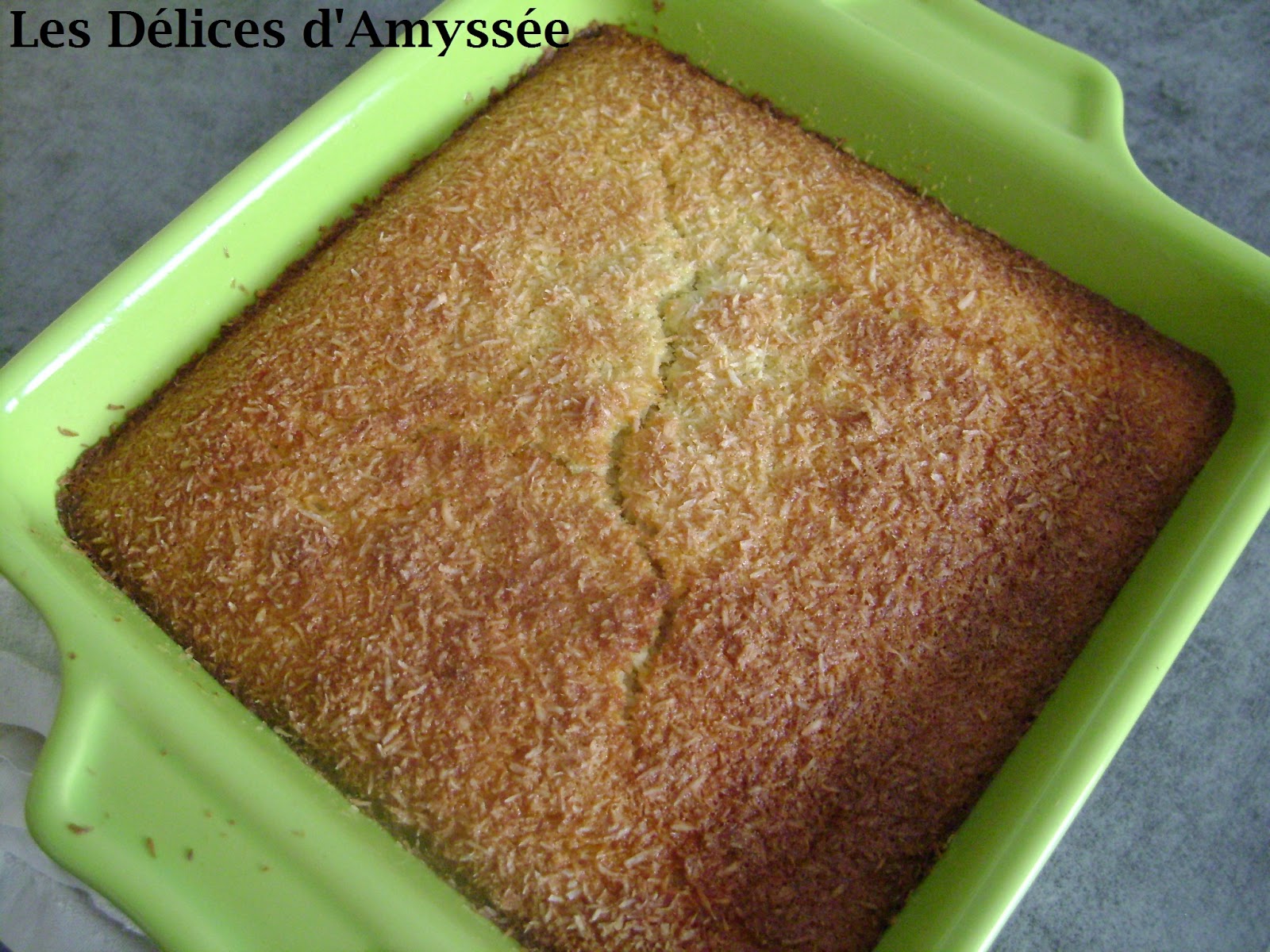 Les Délices d'Amyssée: Gâteau magique à la noix de coco au Thermomix