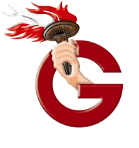 asociacion guadalupana insignia