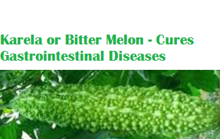 Health Benefits Of Karela or Bitter Melon - Cures Gastrointestinal Diseases