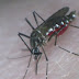 Com 1.655 notificações em 2016, Ceará registra dois casos de dengue por hora
