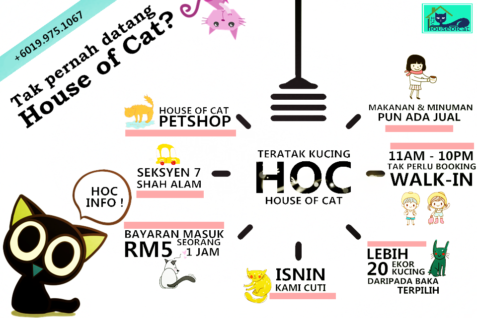 House Of Cat Shah Alam Seksyen House Of Cat Shah Alam Seksyen