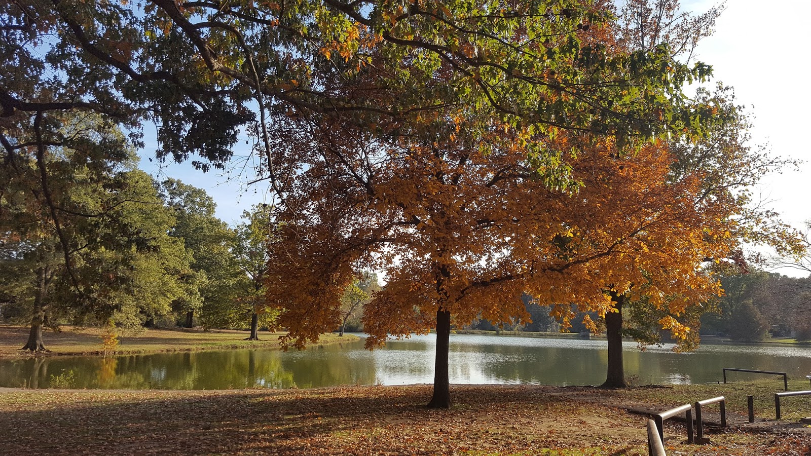 Divers and Sundry Coffee at Audubon Park Lake