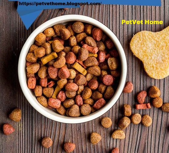 TYPES OF DOG FOOD PetVet Home