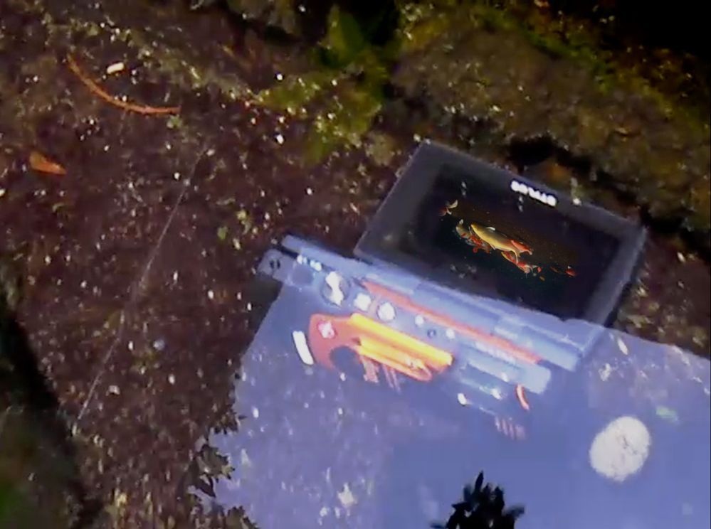  Fish Pond Underwater Video By Olympus TG860 Digital Camera