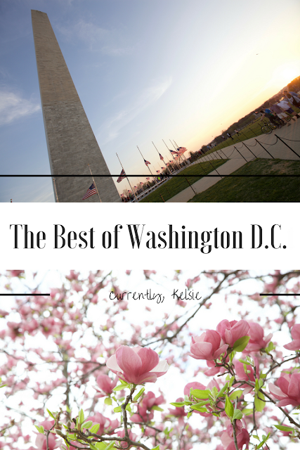 The Best of Washington D.C. 