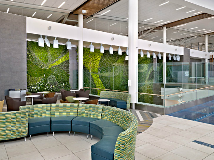 Smart Gadgets Edmonton Airport Unveils Massive AirCleaning Living