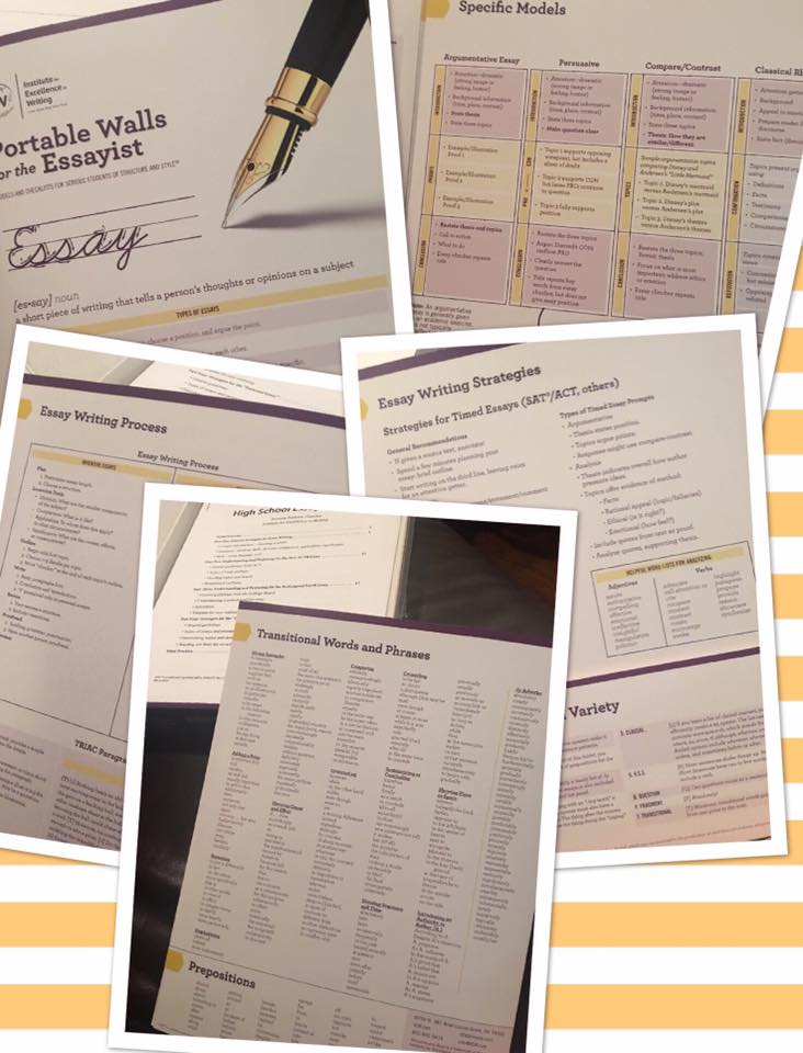 Teaching triac essay 07 image