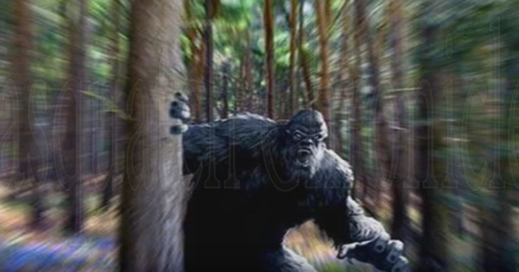 College Kids Have Accidental Bigfoot Sighting