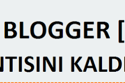 Blogger .tr Uzantısını Kaldırma 