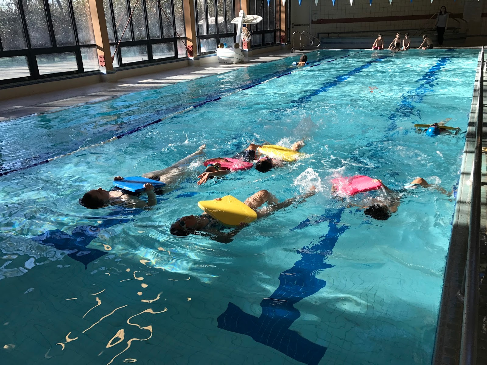 SEABURY NAVIGATORSArchives How Do Fish (and People) Float? A Scientific Yet Practical Lesson in