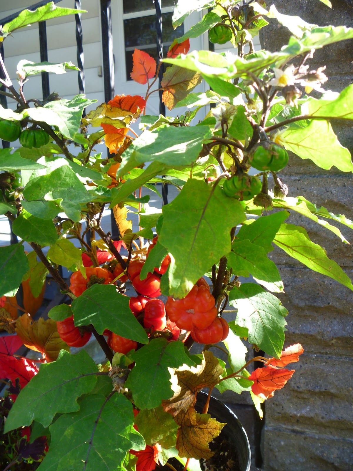 My Homemade Iowa Life Pumpkinonastick
