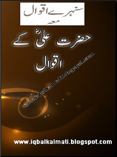 Sunhery Aqwal (Beautiful Quotes) Urdu Pdf  Download