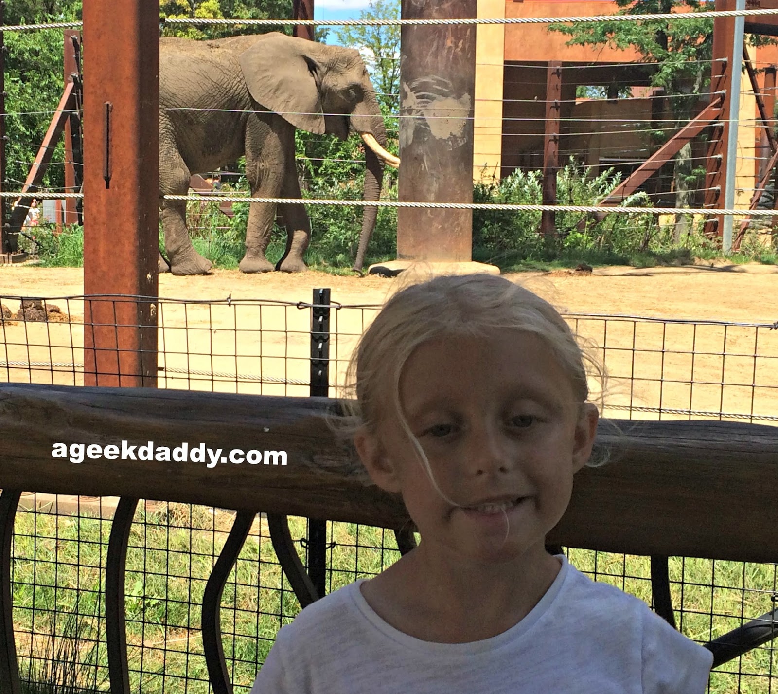A GEEK DADDY Toledo Zoo named BEST ZOO in the United States