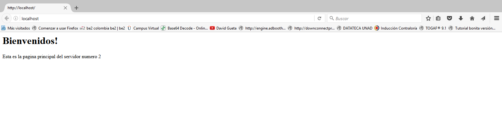 localhost localhost