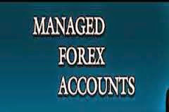 Crupto forex managed account