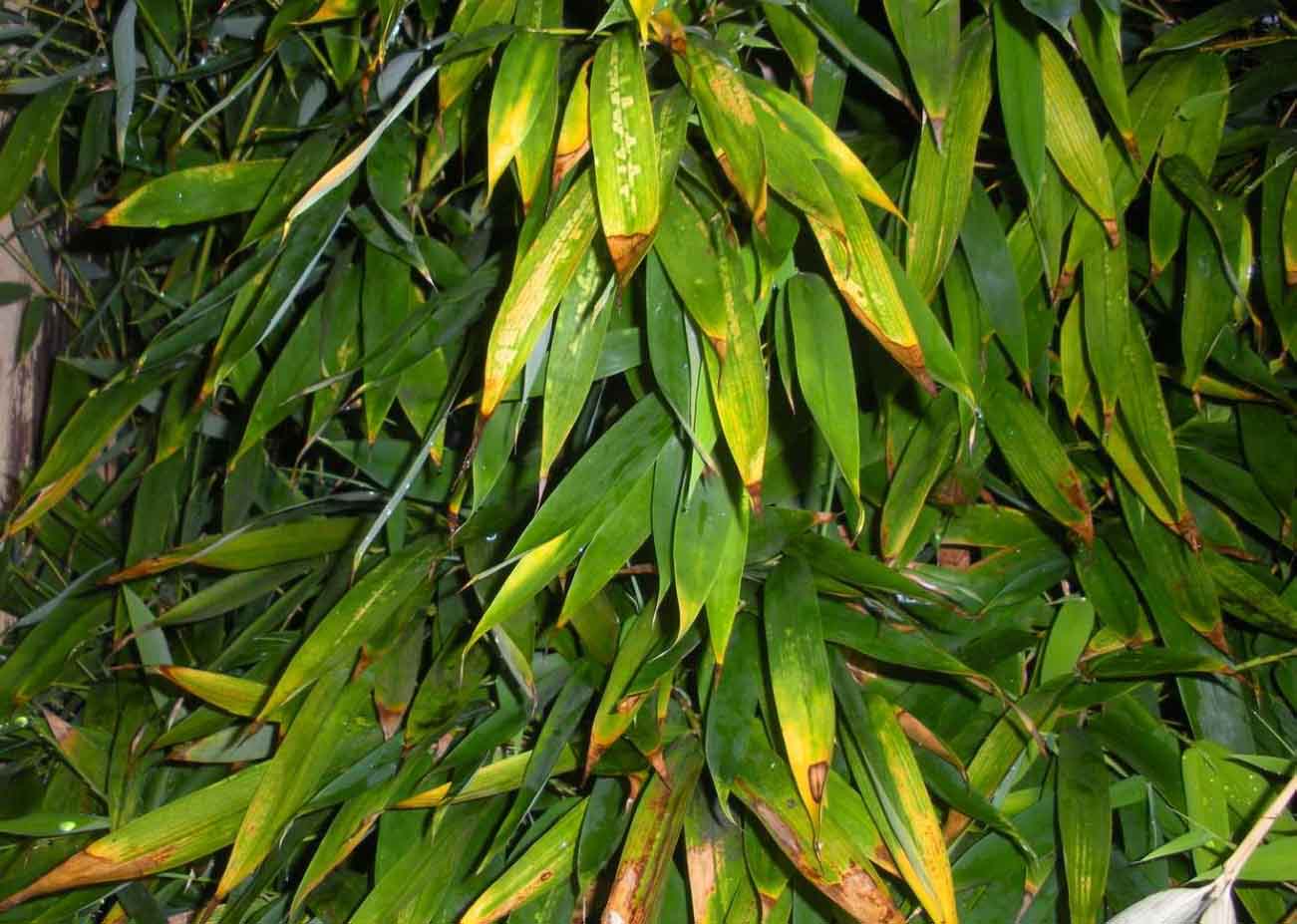 Photo Essays Toxic Urban Landscapes Air Pollution Climate Change