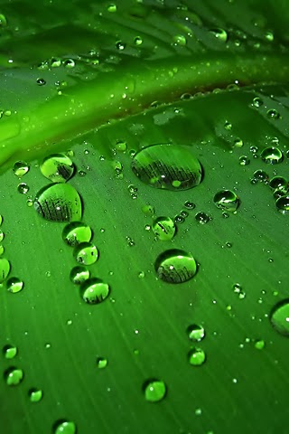 Best Phone Wallpaper | Falls Wallpaper