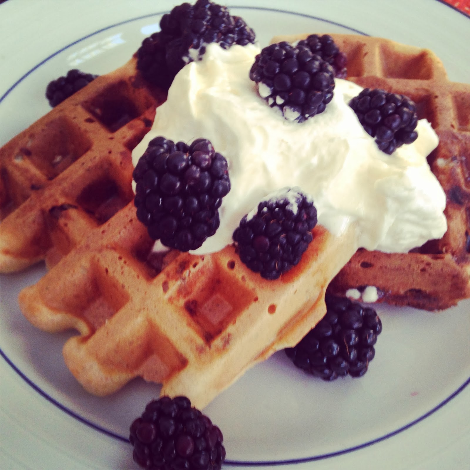 Life on Food Chocolate Chip Waffles for Two