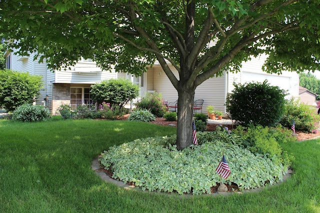 Happy At Home: Front Yard Tour