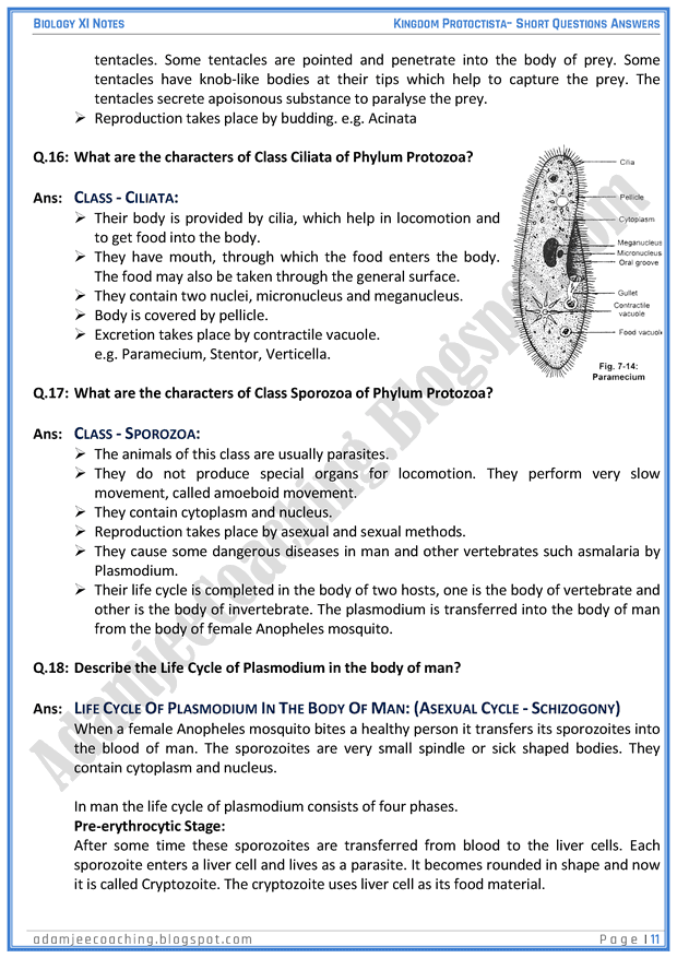 kingdom-protista-protoctista-short-question-answers-biology-11th
