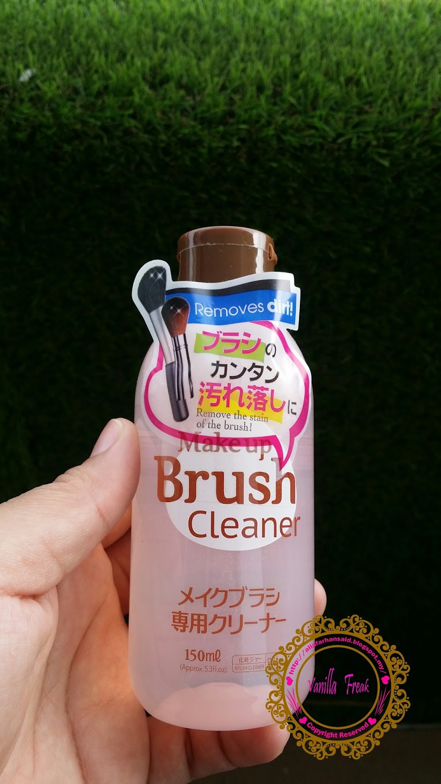 Product Review Brush Cleaner From Daiso ALIA FARHAN
