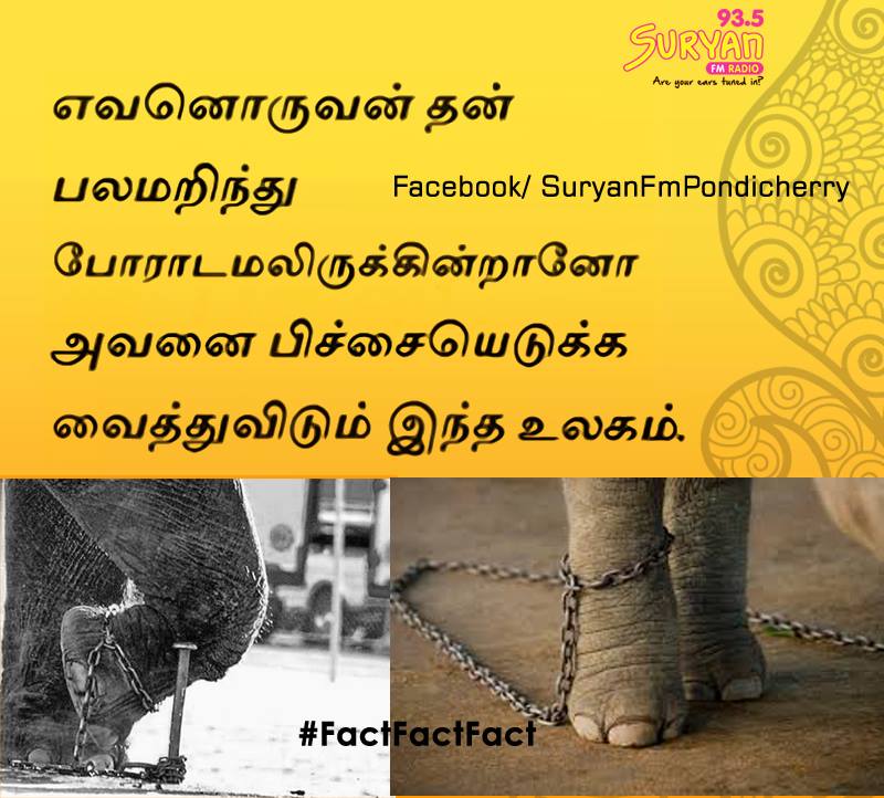 12036927_711362888993731_622658162645453