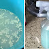 The Effortless Secret to Making your House Smell Incredible