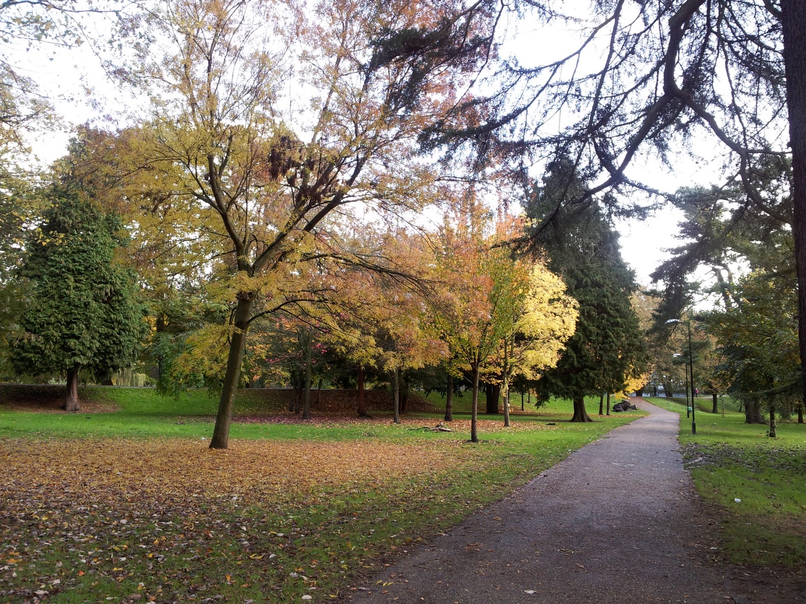 Cultural Outlook: Autumn in Sophia Gardens 2