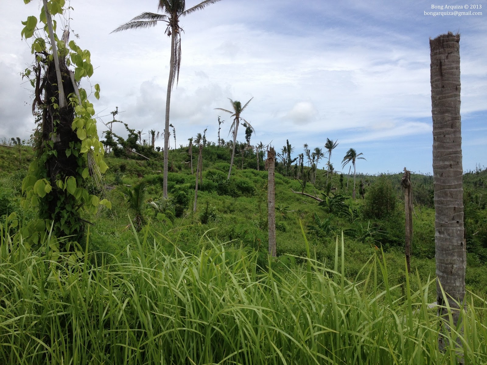 Experiencing Davao Oriental (PostPablo Escapades) BNGRQZ In a nutshell