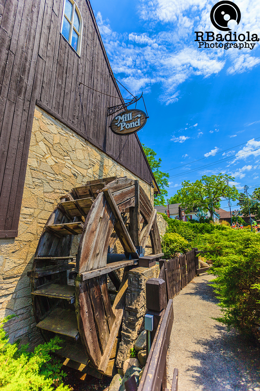 Me and my aperture Long grove Illinois Strawberry festival