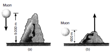 Aplikasi Dilatasi Waktu Dalam Kehidpan Sehari Hari