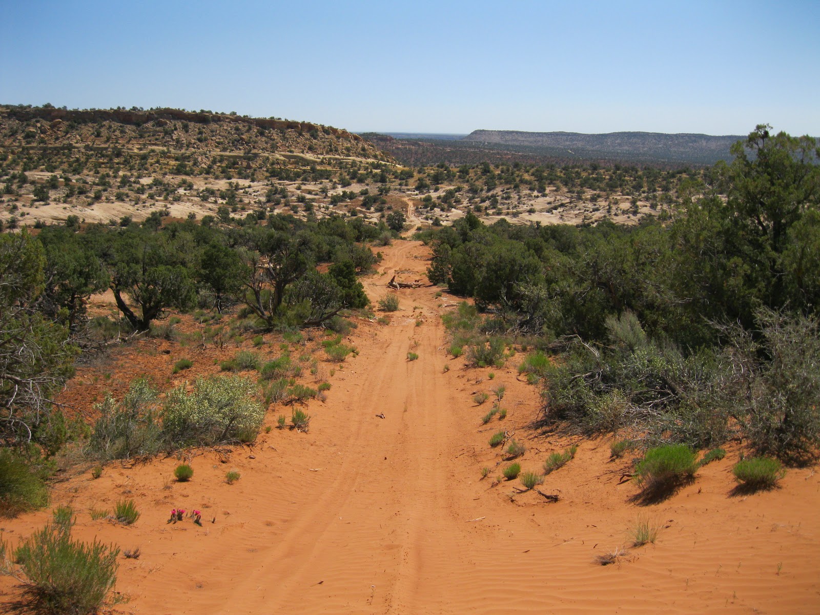 Four Corners Hikes-Cedar Mesa in Utah: Posey’s Trail on Comb Ridge
