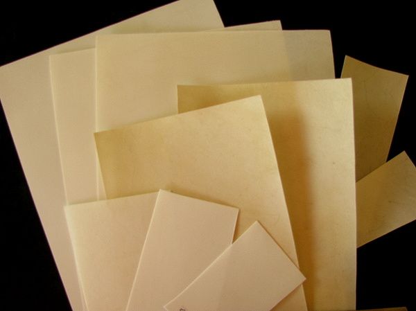 Botanical Sketches and Other Stories: Saving the Art of Vellum