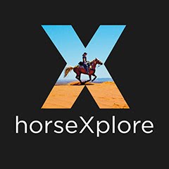 https://www.horsexplore.com/ireland-adare