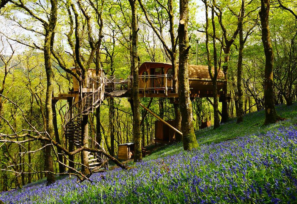 Living Room Treehouses in Wales