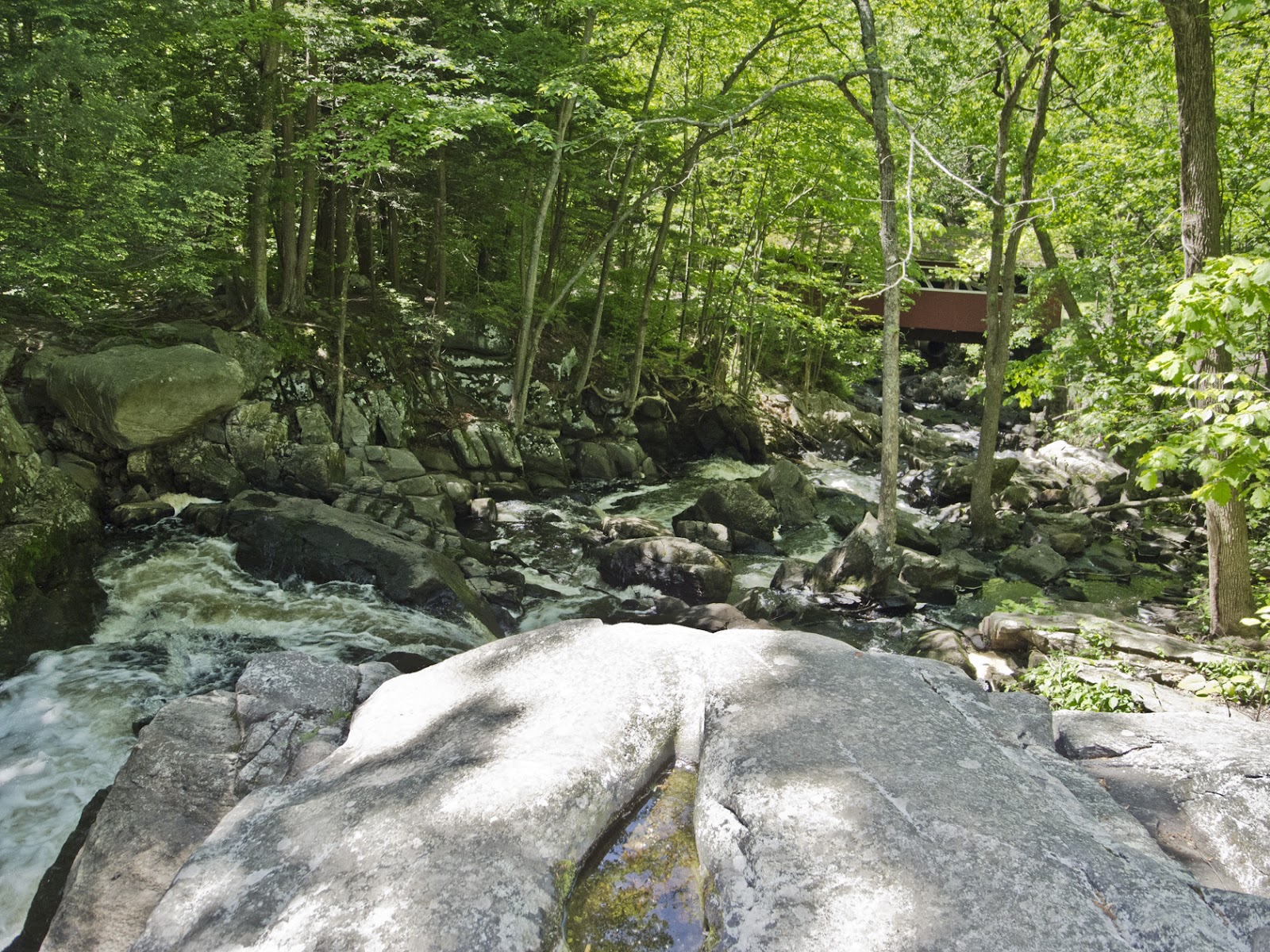 Connecticut Explorer Walking Southford Falls State Park