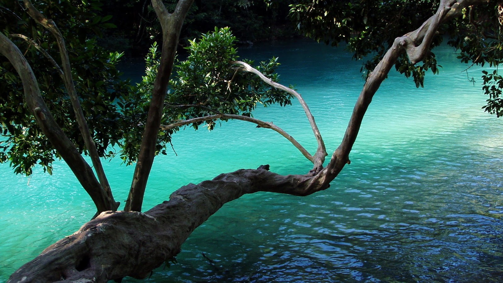 Best Hd Wallpapers collection: 65 Wonderful Nature Scenery Full HD