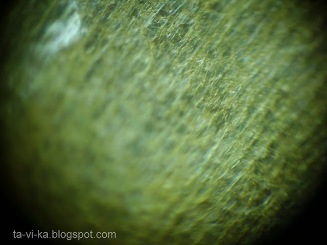 лепесток цветка в микроскоп