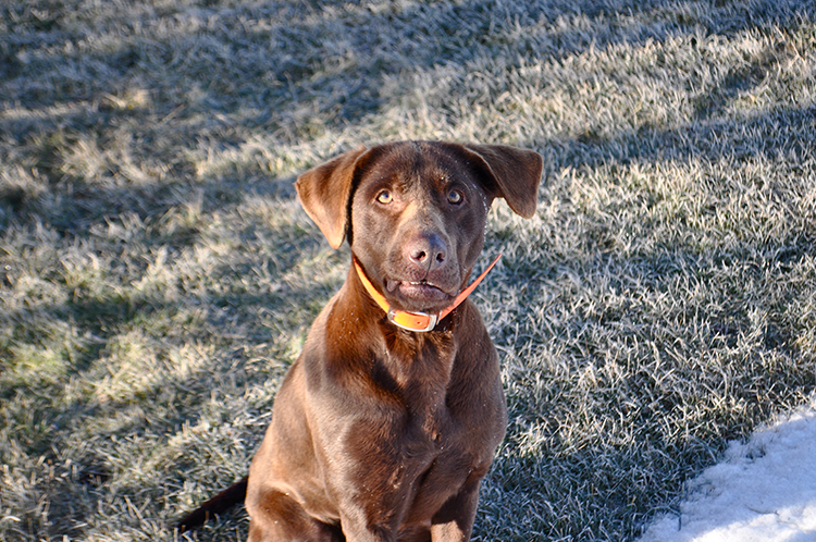 Grace | My Darling Days Grace | My Darling Days