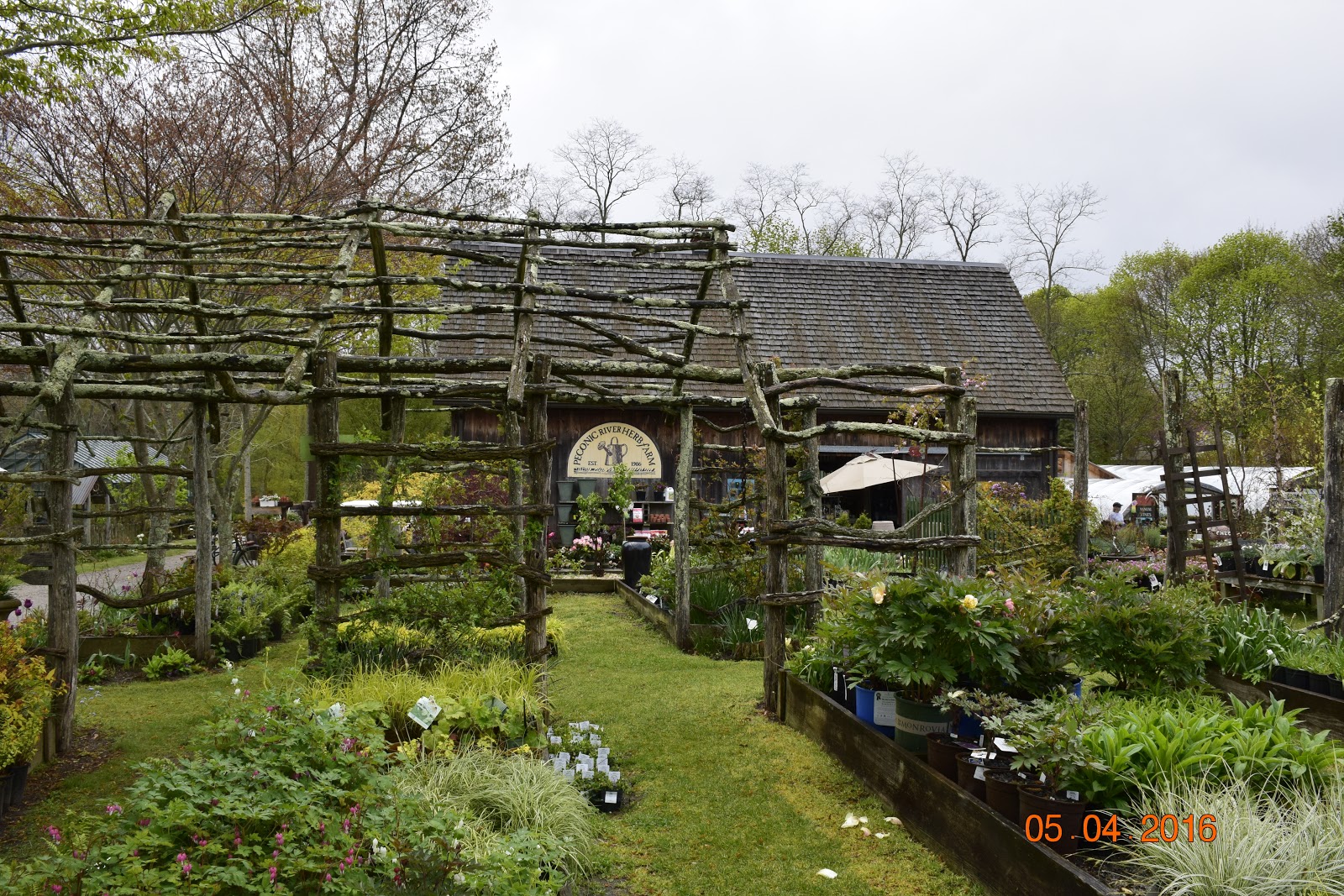 Melanie's Perennials Peconic River Herb Farm