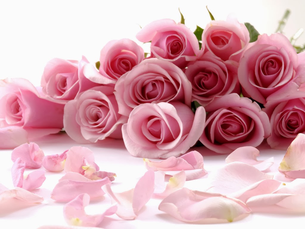 Seikat Bunga Mawar Pink : Kumpulan Gambar - Gambar Pilihan 