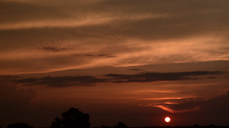 Summer Sunset