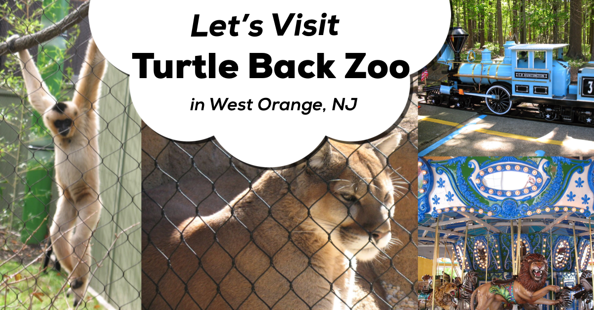 A Review of The Turtle Back Zoo Classic New Jersey Day Trips The