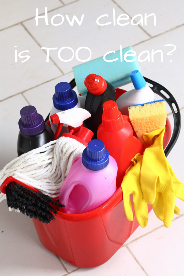 Mrs Bakes and Banter Happy Homes How Clean Is TOO Clean?