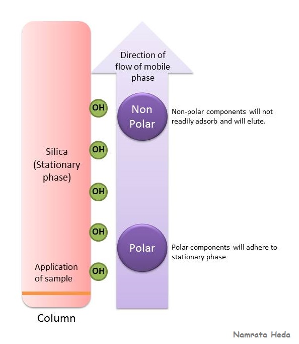 B for Biology Chromatography Principles
